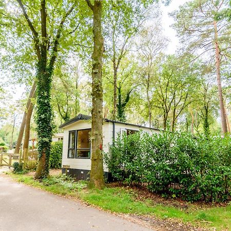 Veluwe Chalet Aan Het Bos - Kids - Pool - Dog Hoenderloo Luaran gambar